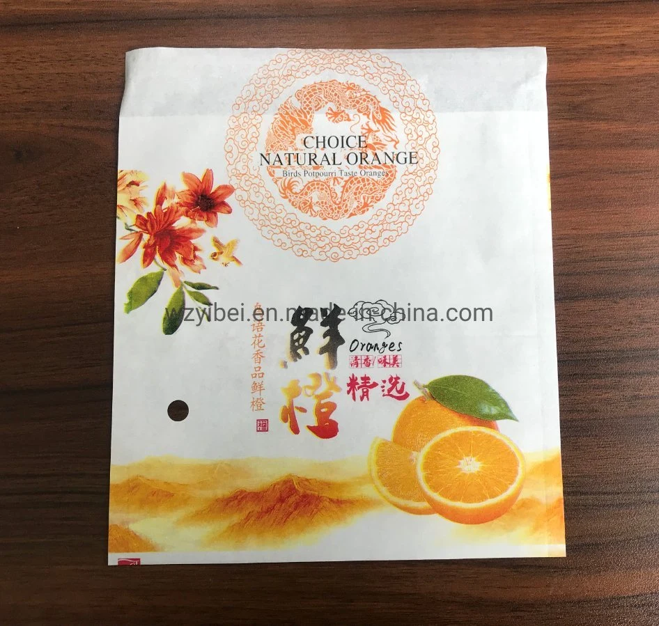 Sealable Custom Printed Fruit Orange Display Delivery Packaging Paper Bag