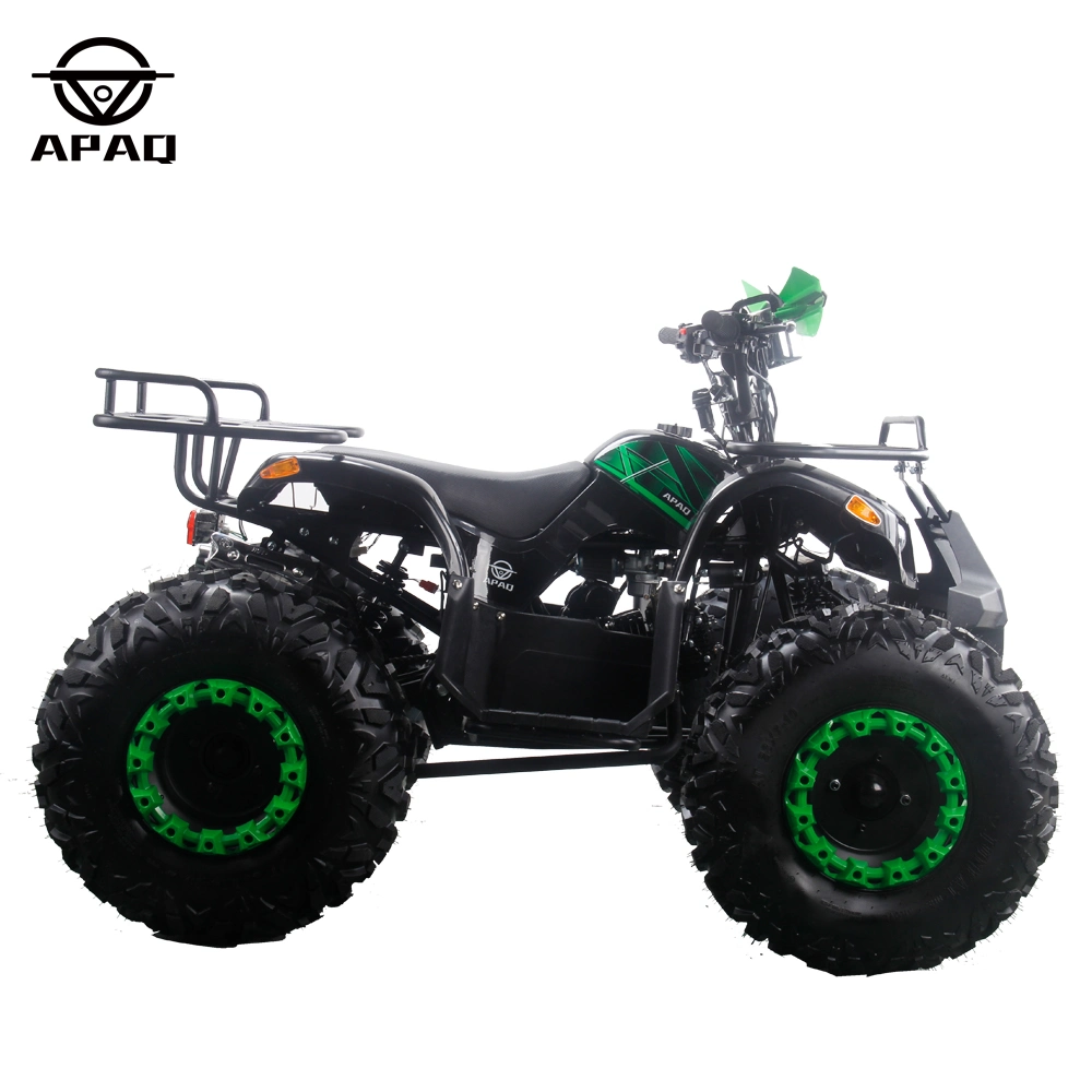 Apq125-5 with CE 125cc Powerful Gasoline ATV Electric Start Quads