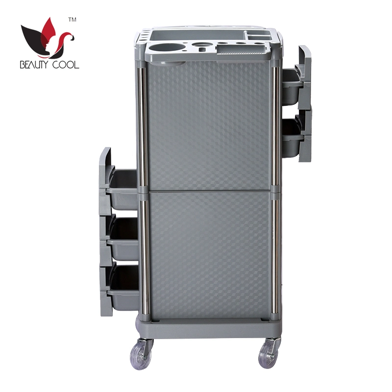 T08 Beautycool New Beauty Salon Trolley Salon Equipment