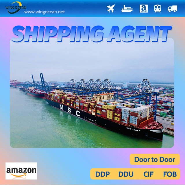 Professional and Excellent Container Shipping From China to USA/ Canada/ Europe Fba Logistics