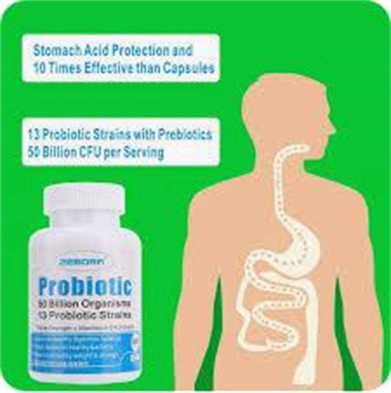 200billion Cfu/G Lactobacillus Bulgaricus for Digestive Nutraceutical Supplement or Yogurt/Cheese Making