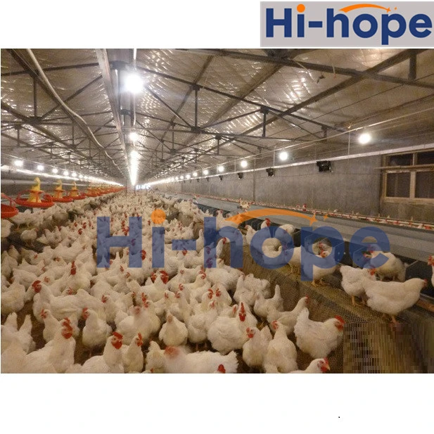 Pollo automático sistema de alimentación para aves de corral de material agrícola Nido de Huevos de potencia del motor