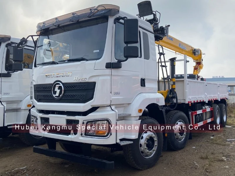 Shacman 14 Ton Lkw-Kran Lkw-Teleskopausleger Lastenwagen mit Kran