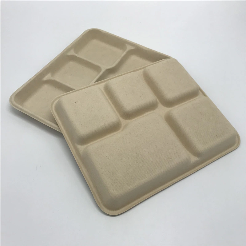 Multiple 5 Compartment Eco Biodegradable Disposable Fast Food Packaging Bagasse Tray