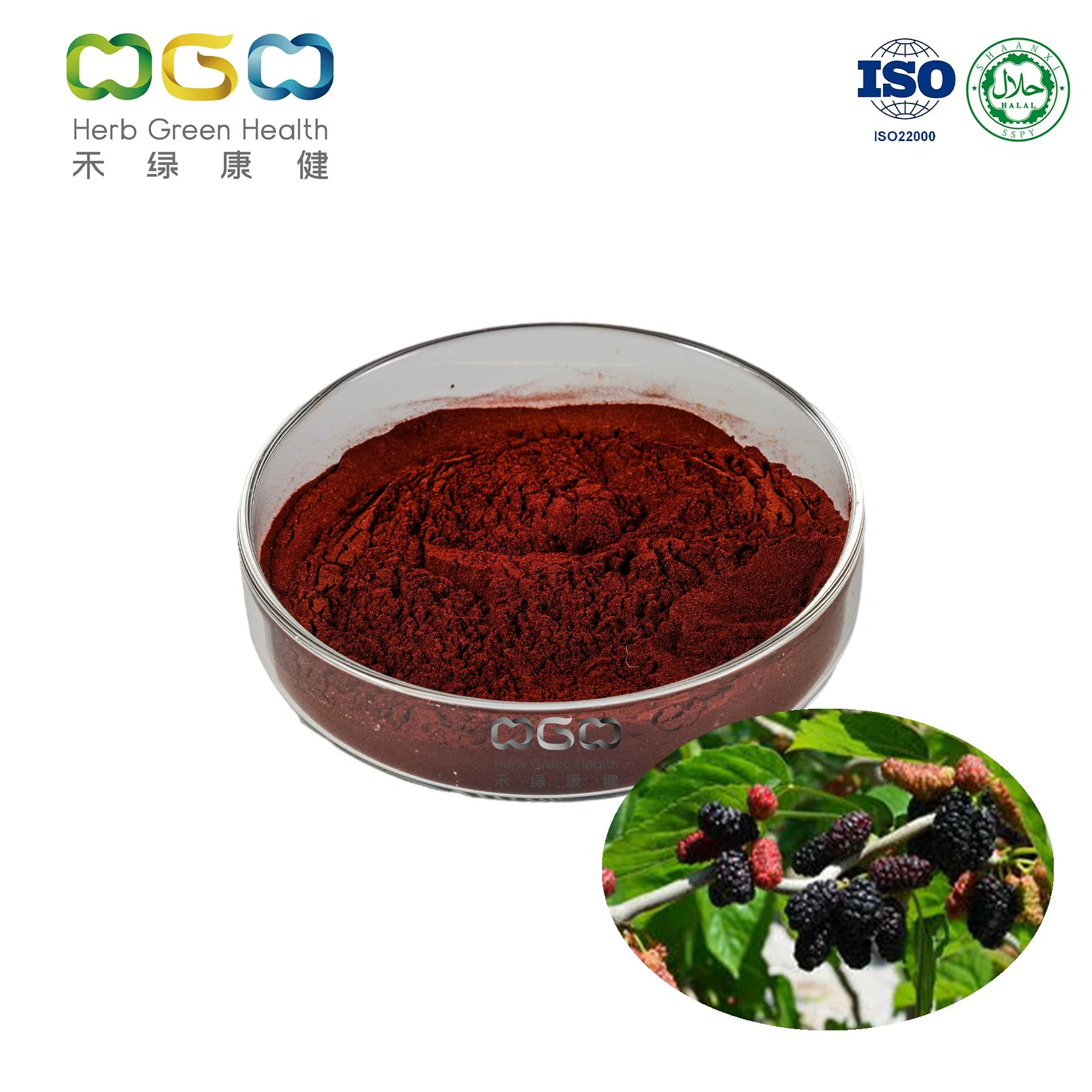 Ingrédient de la santé d'alimentation de la poudre Mineral-Rich antivieillissement Mulberry SD