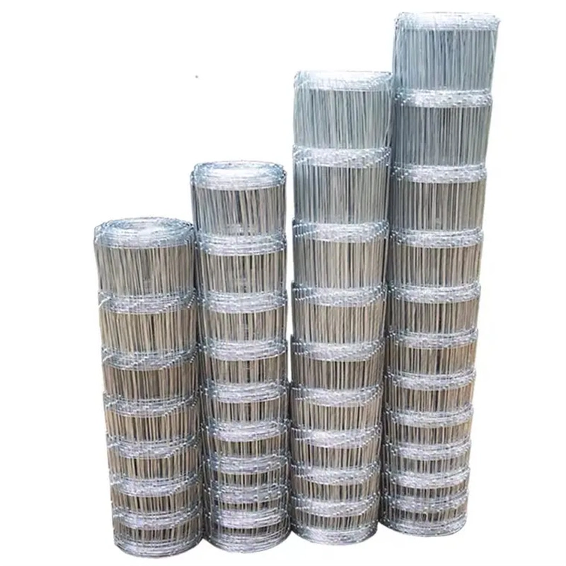 Galvanized Wire Mesh /Wire Mesh/ Galvanized/PVC Welded Wire Mesh