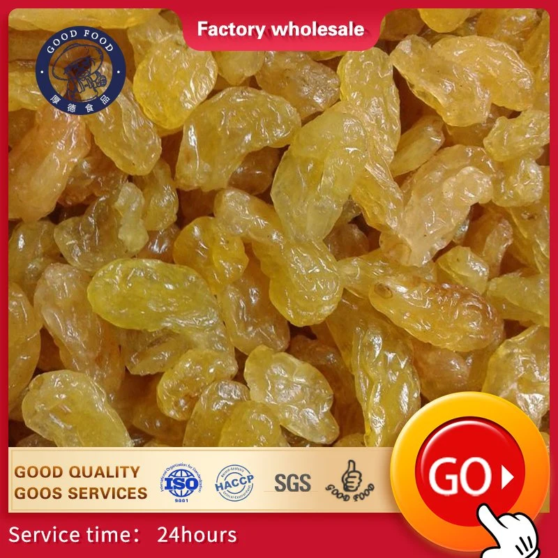 Superior Quality Different Type Dried Fruits From China (kumquat, Kiwi, cherry, apple, strawberry, pear, etc)