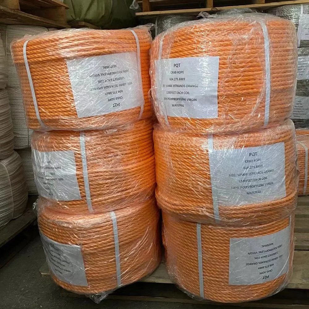 High Strength Any Color Customized Twisted 3/4 Strands Plastic Polypropylene/Polyethylene Danline Rope for Fishing /Mooring/Packing/Marine/Climbing/Agriculture