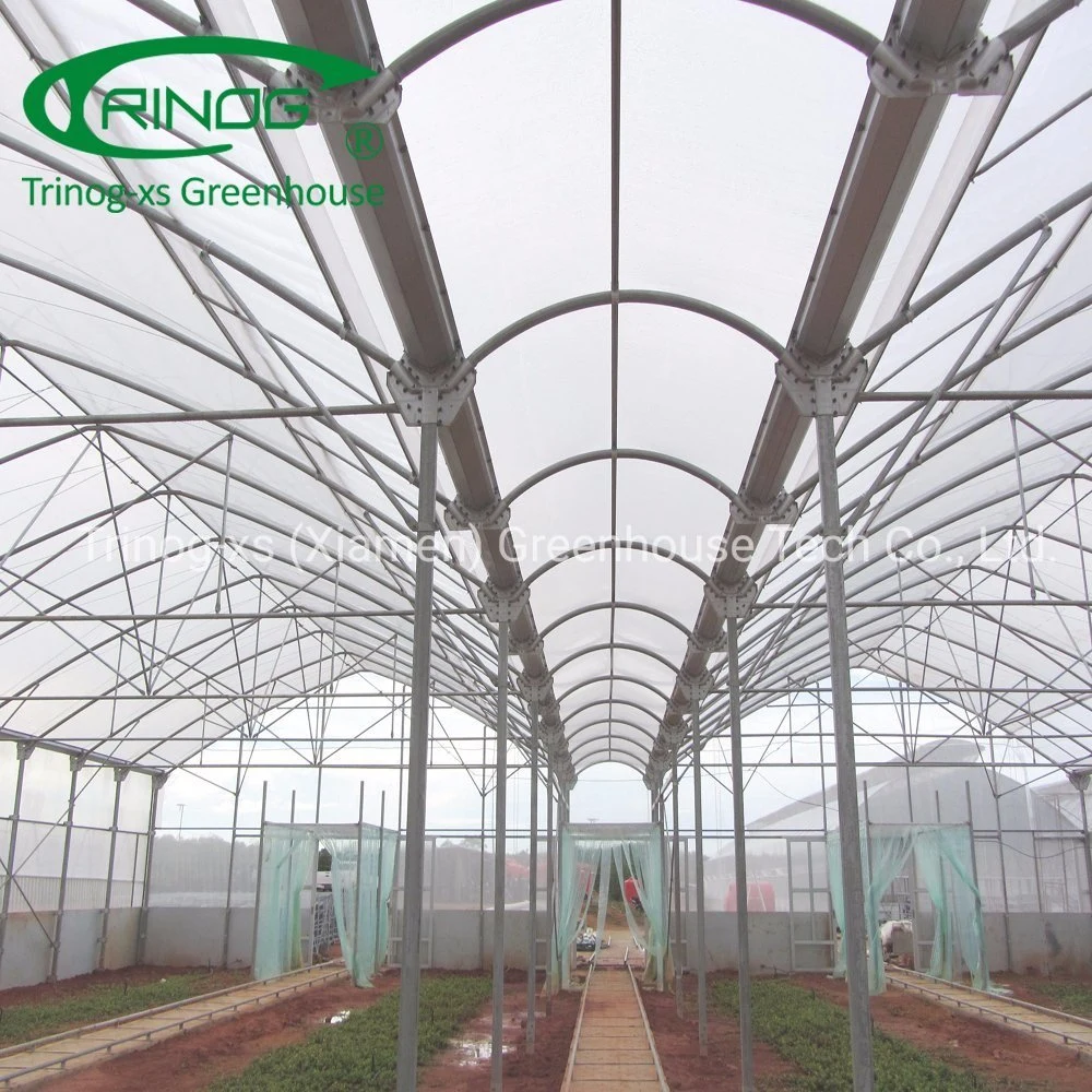 Trinog agricultural roof vent hook hanging tomato hydroponics growing green house for farm