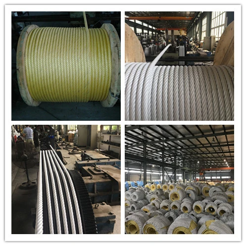 Factory 6*24 24mm Combination Rope for Trawling/Mooring/Security Work