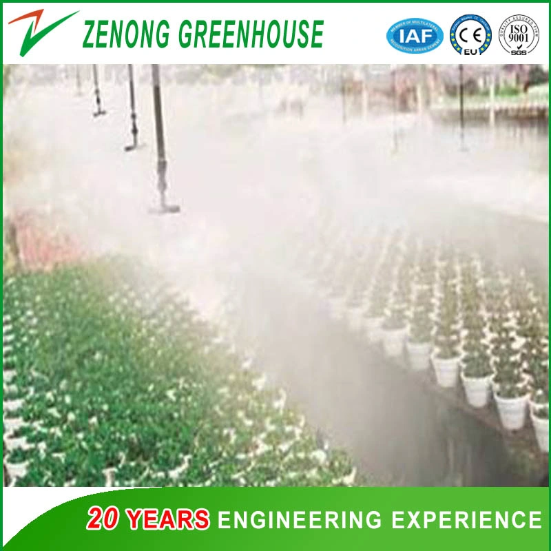 Farming/Fishing/Poultry Used Greenhouse PC Sheet Greenhouse with Misting Cooling System/Cooling Pad and Fan