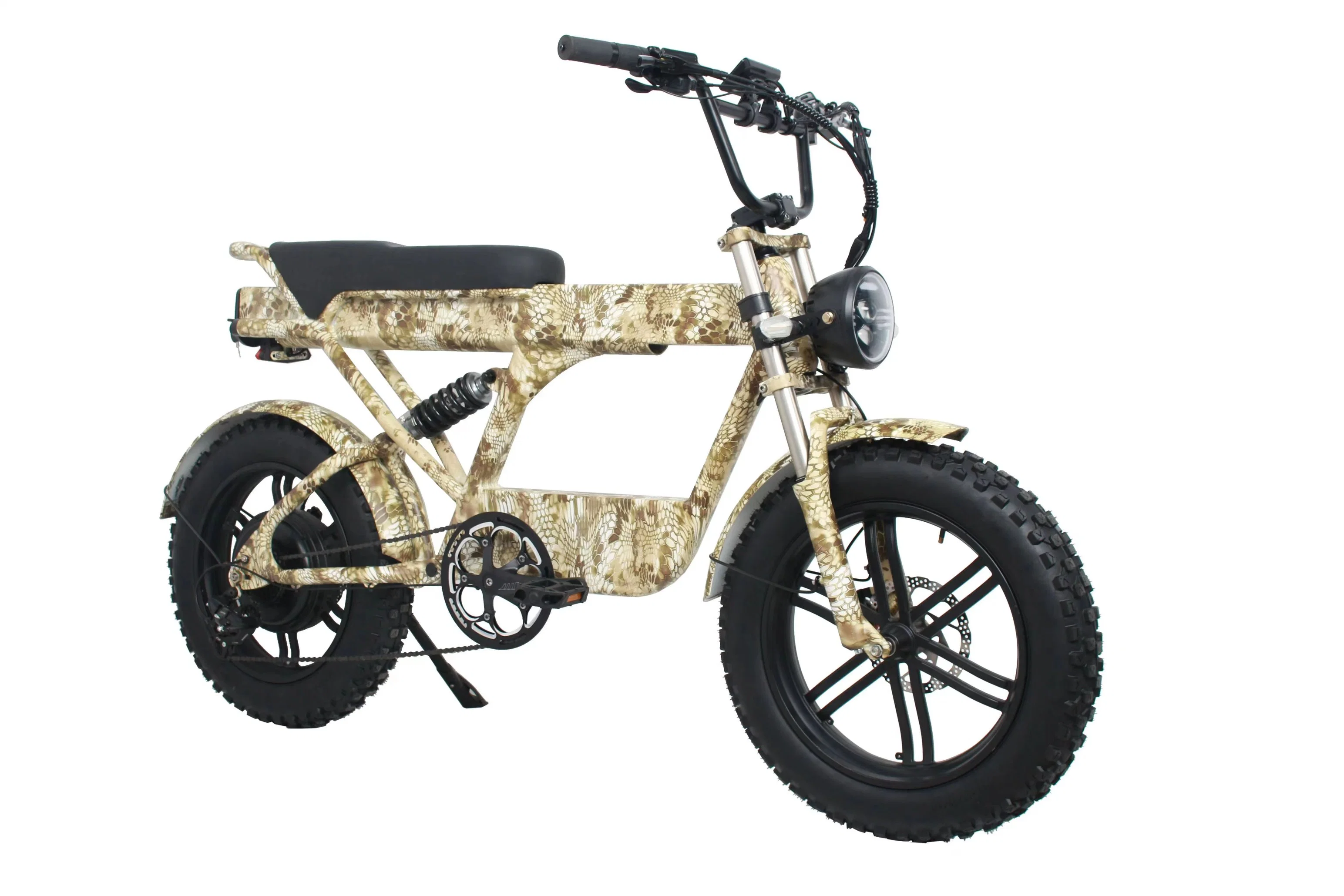 Front Suspension CE EEC Certification Offroad Electric Bicycle Ebike