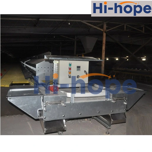 Factory Supply Agricultural Egg Nest Chicken Farming Feeding Equipment