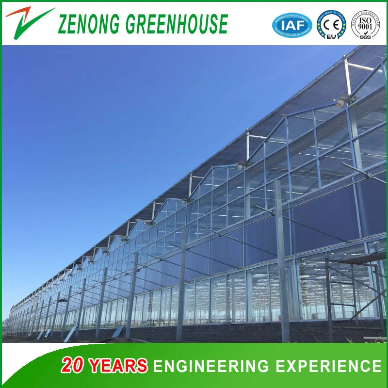 Intelligent Glass Greenhouse with Inside Shading Net for Vegetables/Seeding/Fruits