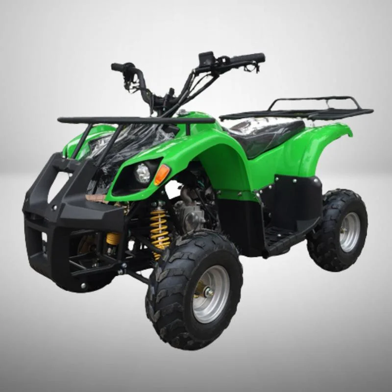 Quad VTT pour enfants avec la certification CE