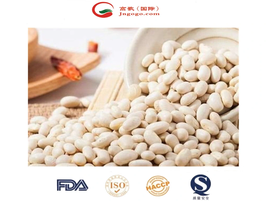 High quality/High cost performance Japanese White Kidney Bean