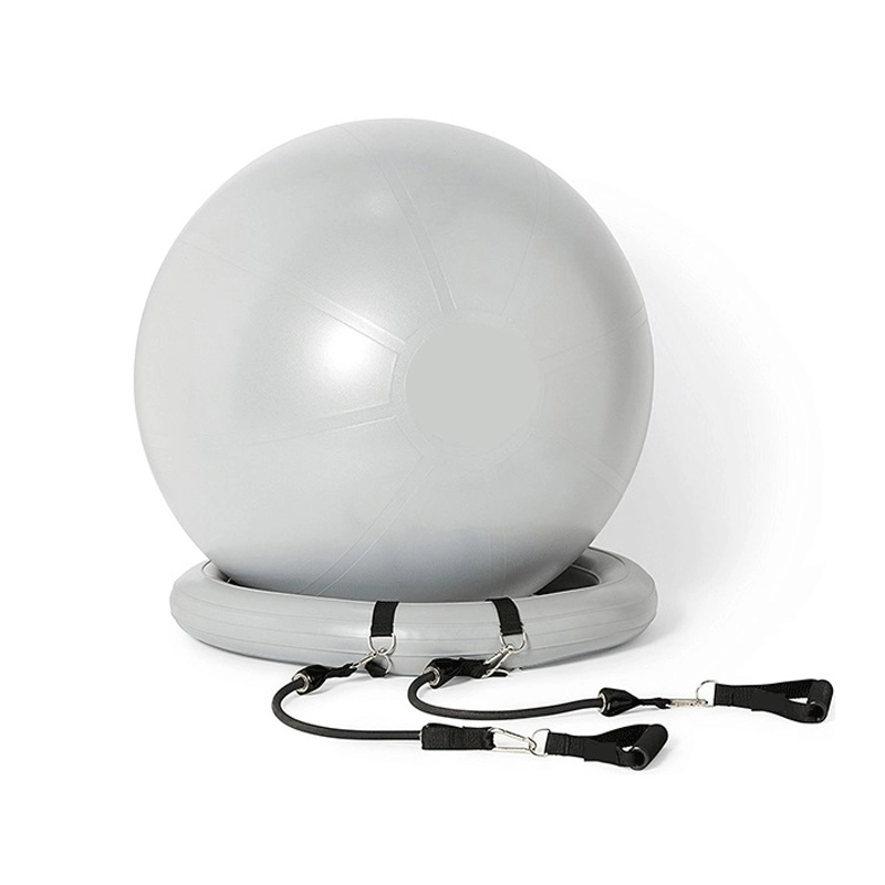 Balance Gym Ball with Circle Logos Set with Core Exercises with Ball