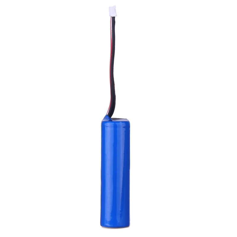 Lithium Ion Battery 12V LiFePO4 Battery Dyson Battery Adapter Lto Battery