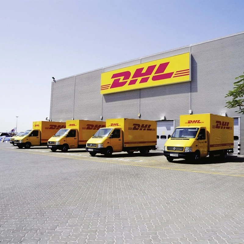 DHL Cardo логистических компаний экспедитора торговли службы контроля качества DDP из Китая Шэньчжэне в Оман Маскат от двери до двери