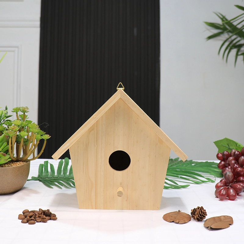 Inachevé à la peinture pour l'ornithologie Birdhouse