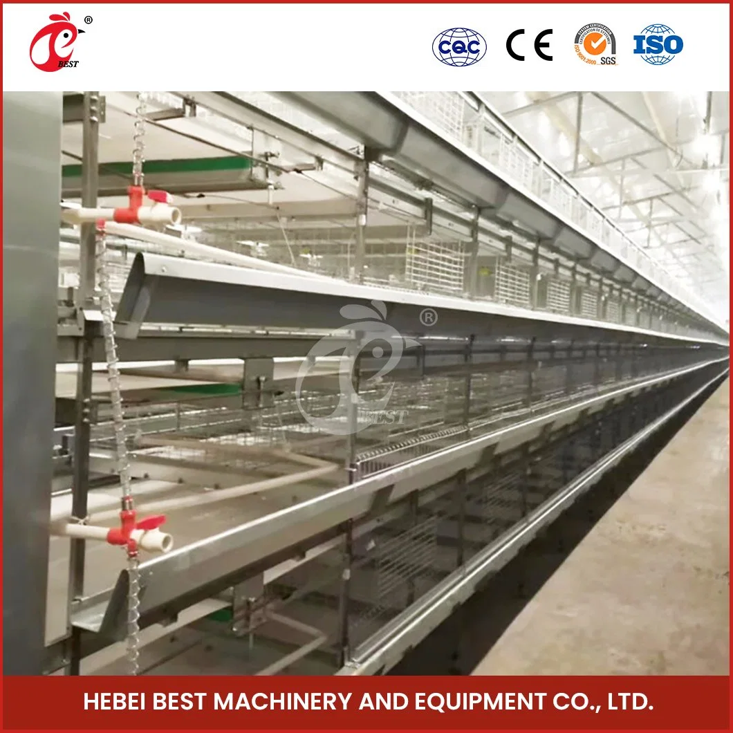 Bestchickencage China Automatic Breeding Chicken Cage Suppliers H Frame Automatic Boriler Cages Wholesale/Supplier Quick Clean Disinfect Features Battery Chicken Cages