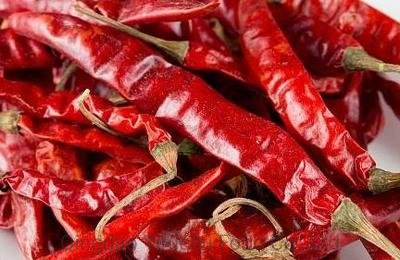 Hot Spicy Wholesale/Supplier Price Dried Chilli Chaotian Dry Red Chilli