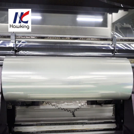 Thermoforming Forming Film Plastic Food Packaging to Keep Fresh