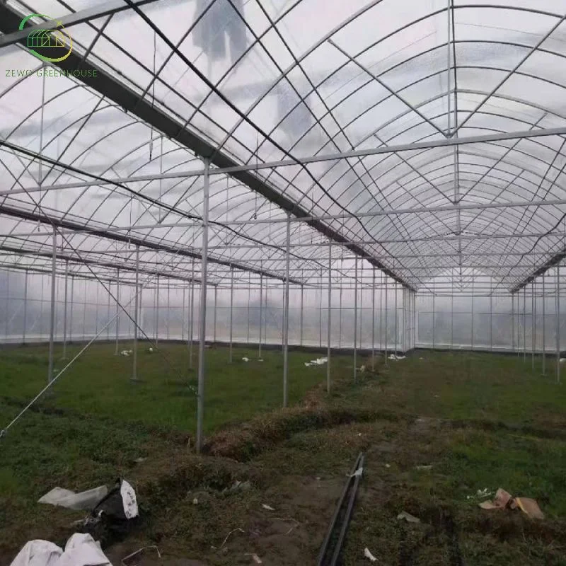 Estufa de filme de túnel de Greenhouses vegetais de Hydroponics rentável Verde Agrícola Casas para Venda