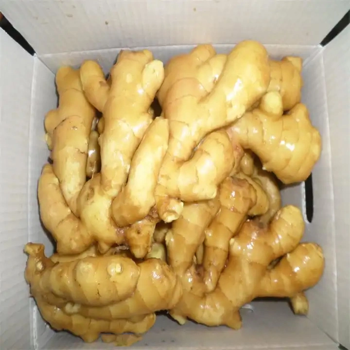 Air Dry Fresh Frozen Ginger with New Crop 2023 Gingers