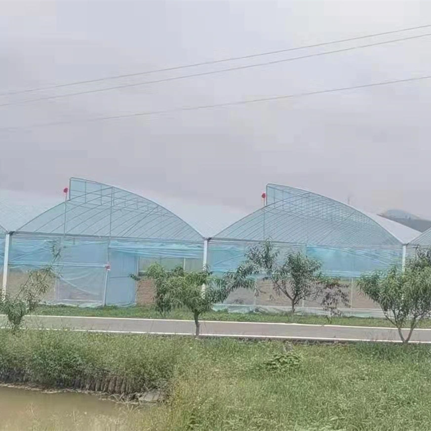 Instalación rápida de acero galvanizado en caliente el esqueleto Poly-Tunnel Casa Verde con techo cenital para una buena ventilación para las Verduras