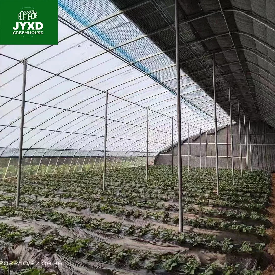 Modern Agriculture Multi-Span Customized Oval Tube Greenhouse with Hydroponics System Heating System for Vegetables Fruits Flowers Strawberry Lettuce