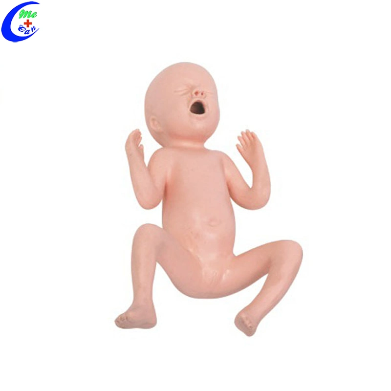 Medical Training Baby Dolls Neonatal Simulation Manikin