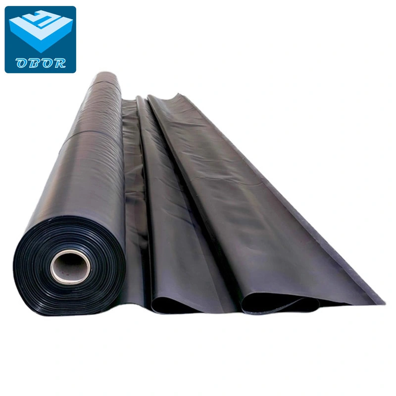 HDPE Geomembrane Sheet for Philippines Market