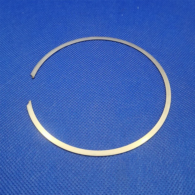 Factory Manufacture Various Spring Energised Seal Hydraulic Oil Seal Ring