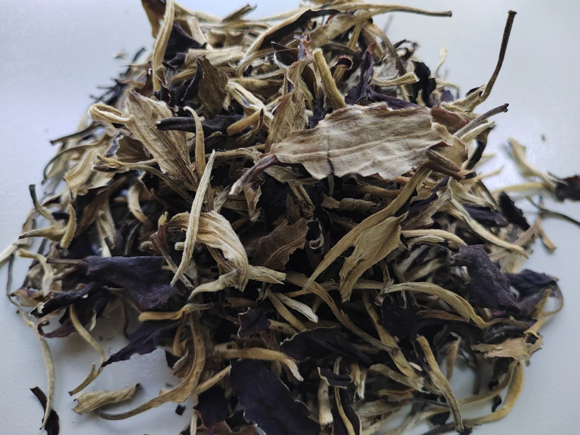 High Mountain White Tea From China (Moonlight Beauty)