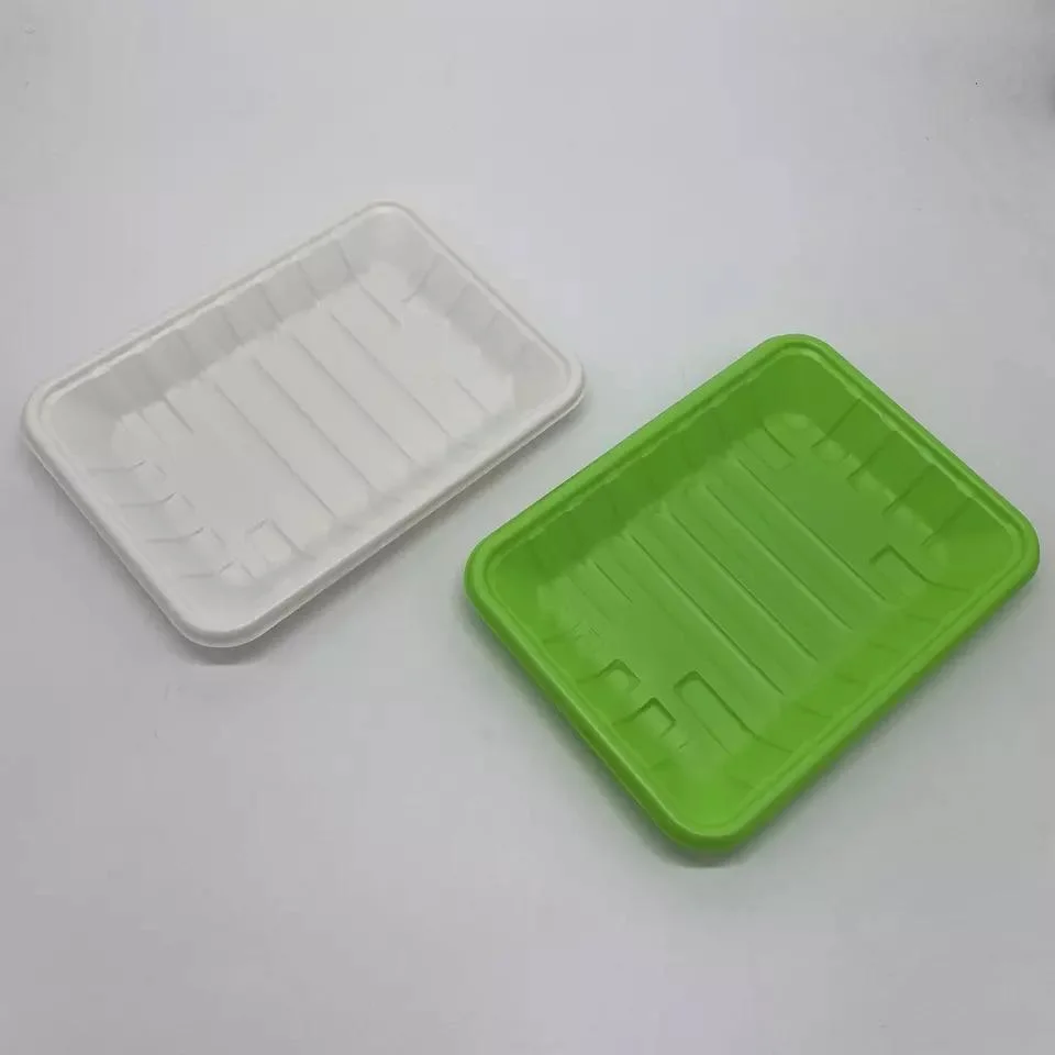 Biodegradable PLA 25cm Food Tray Compostable Rectangular Plate Disposable Cpla Tableware