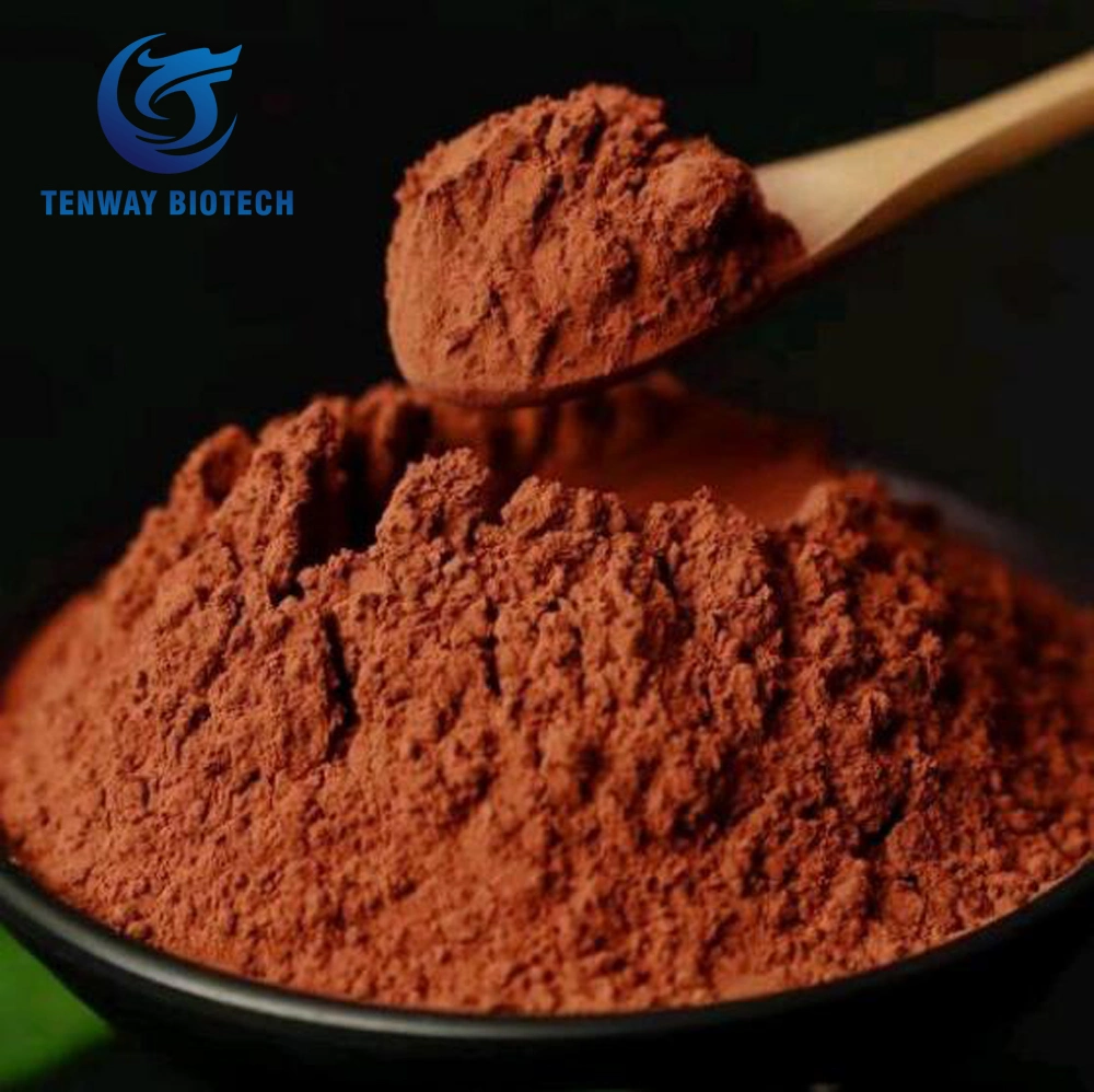 Best Quality Bulk Sales Factory Supply Dark Brown Alkalized Cocoa Powder for Hot Chocolate Drink