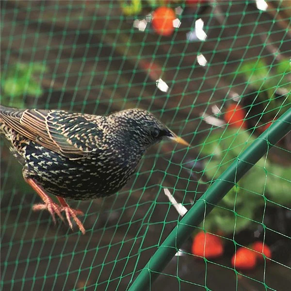 Hot Selling Commercial Plastic Mesh Anti Bird Netting