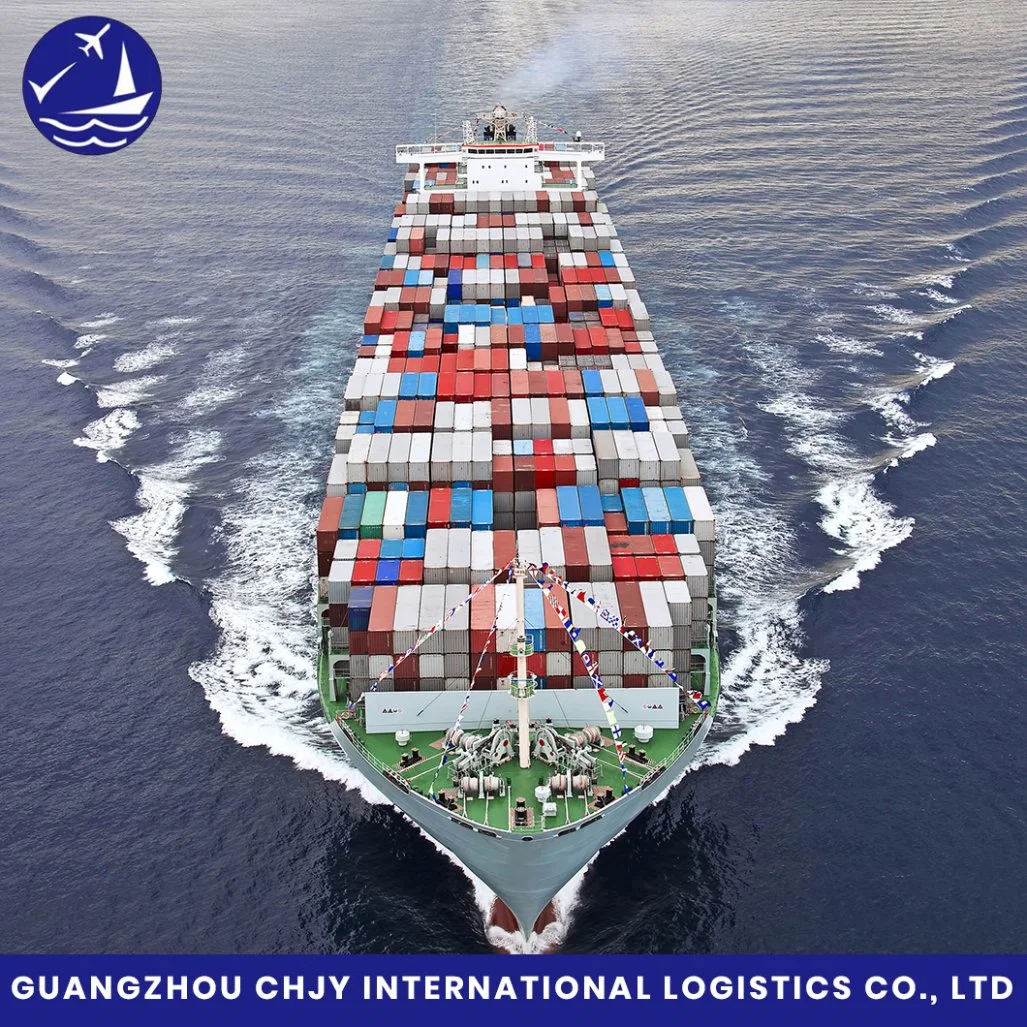 Shipping From China Shanghai/Shenzhen/Ningbo/Qingdao/Tianjin/Dalian to USA/Canada/Europe/UK/Australia Professional Shipping Freight Forwarder Sea Freight