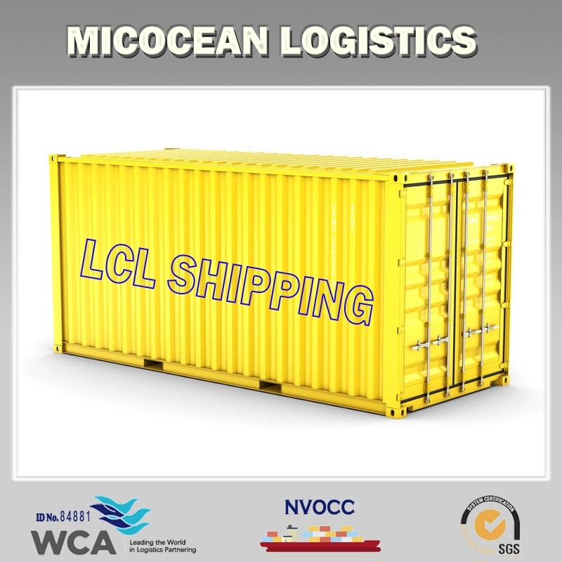 Lnternational Transportation Company LCL Fast Shipping Consolidate Service to Canada From China