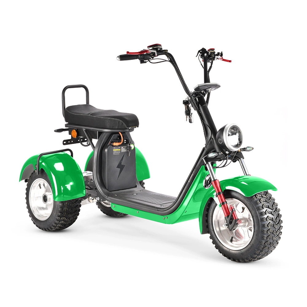 Three Wheels Big Tire Adult Open Electric Tricycles Citycoco 3 Wheels Electric Scooter 1000W Three-Wheel Handicapped Scooters