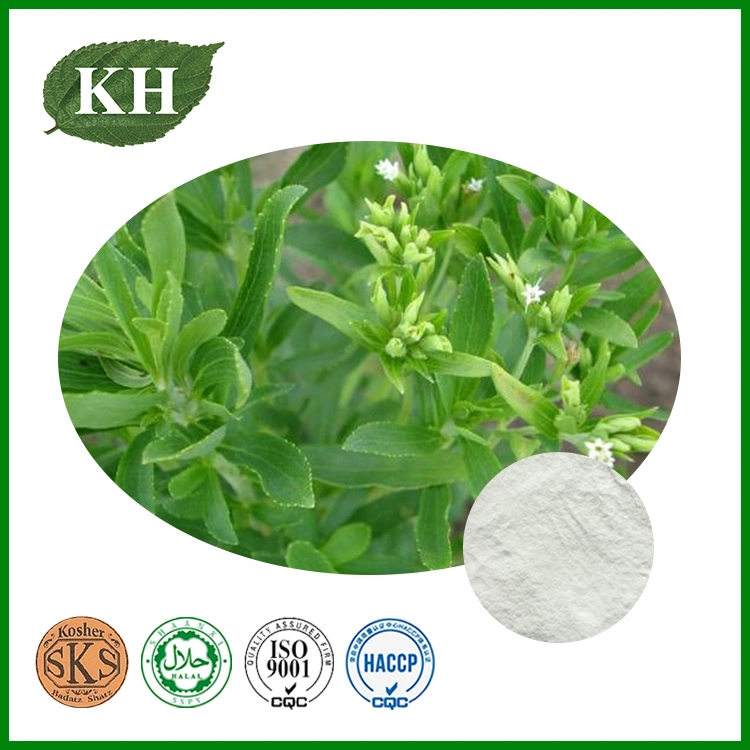 Stevia natural extrato de folhas Estevioside