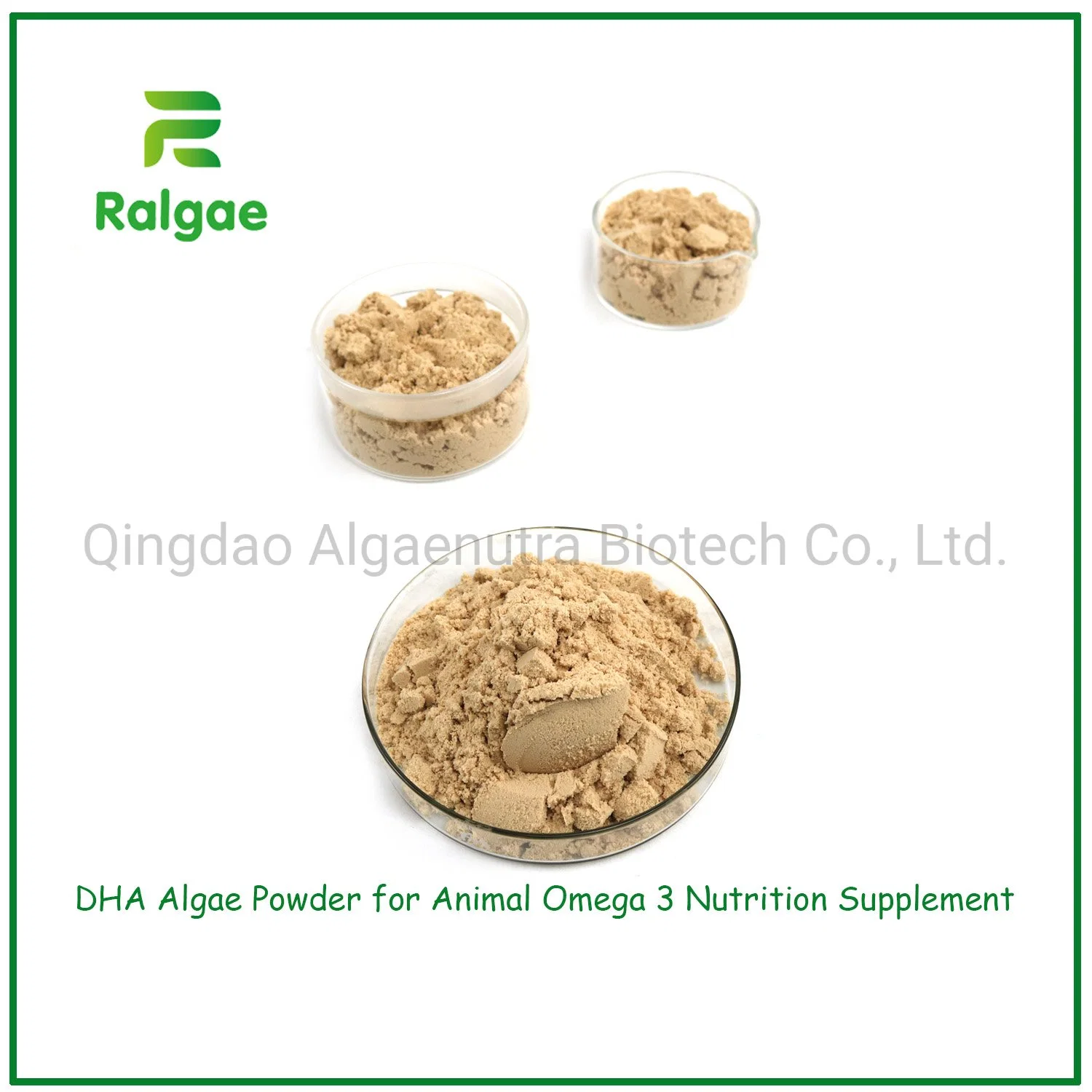 DHA Schizochytrium Algae Powder Feed Grade High DHA for Animal Nutrition CAS6217-54-5