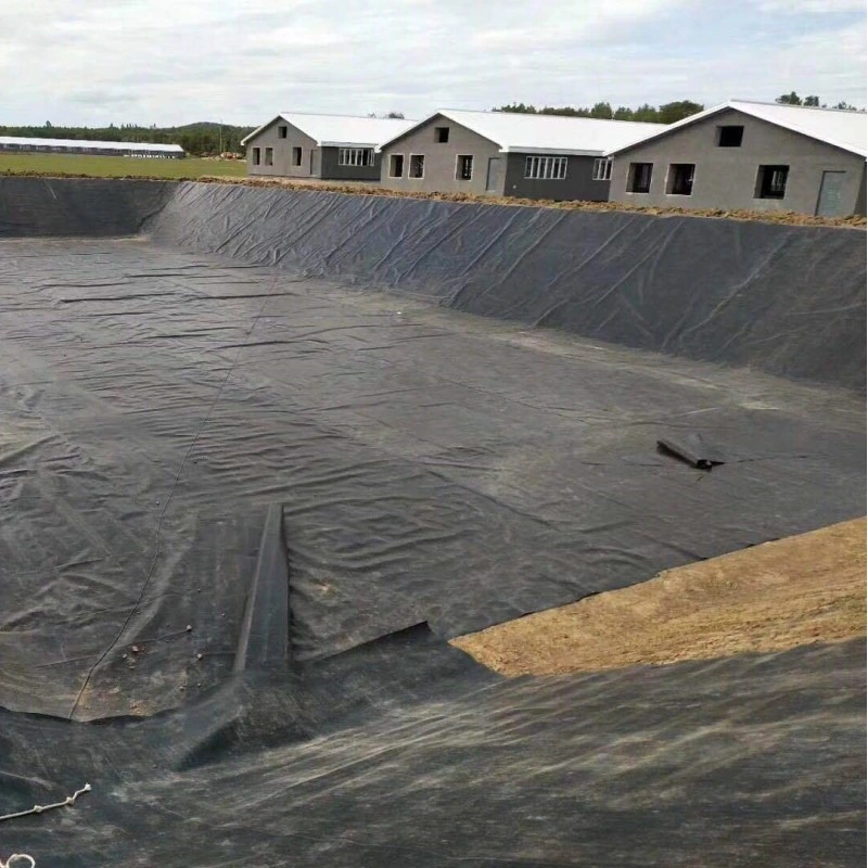 Taian Road Geosynthetics High Quality Geomembranes Fish Pond Liner HDPE Geomembrane