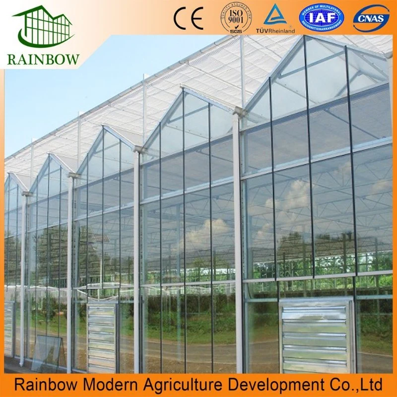 Smart Venlo Type Hollow Double Glass Greenhouse للالطماطم/ الخيار/ الخس / الفلفل / الكبسام أنيوم مع نظام الهيدرولوجيا ومؤشر LED تنمو خفيف