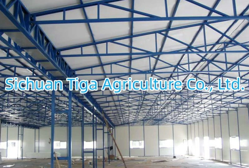 Light Weight Steel Structure with Convenient Construction Made in China