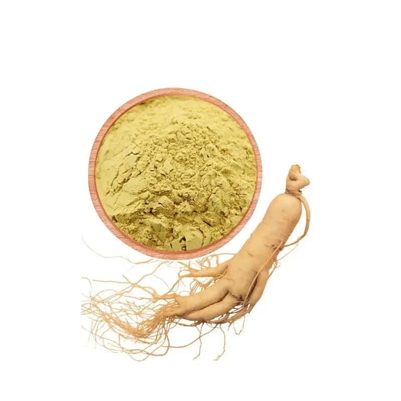 Extracto herbario de calidad Ginsenoside10%~80% Panax Ginseng Extracto raíz en Venta