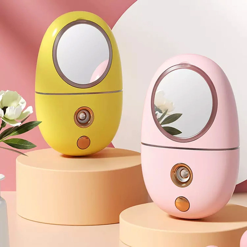 Salon Facial Face Portable Mini SPA with Mirror Beauty Device