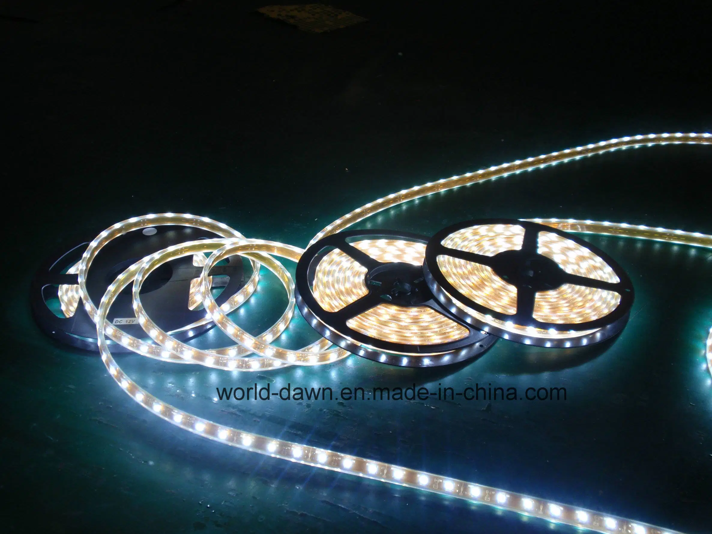 12V 24V Lumière linéaire étanches IP68 SMD5050 Strip Light LED souples