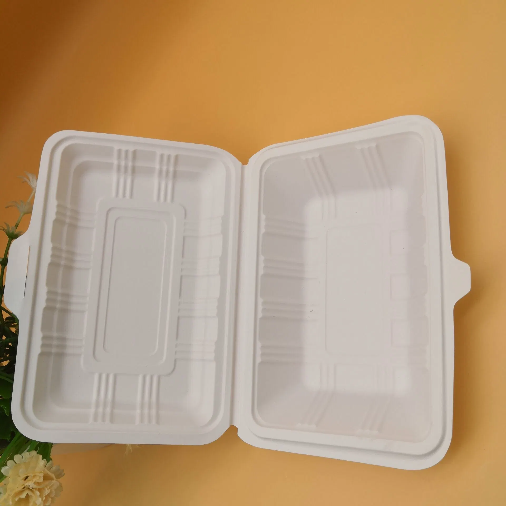 Cuadro de alimentos desechables biodegradables de fécula de maíz pequeños contenedores de plástico biodegradables
